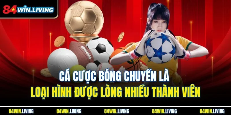 Cá cược bóng chuyền là loại hình được lòng nhiều thành viên
